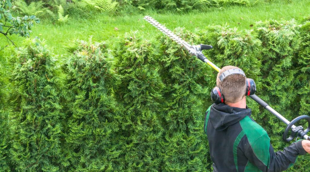 Residential Hedge Trimming: Expert Care for Your Home