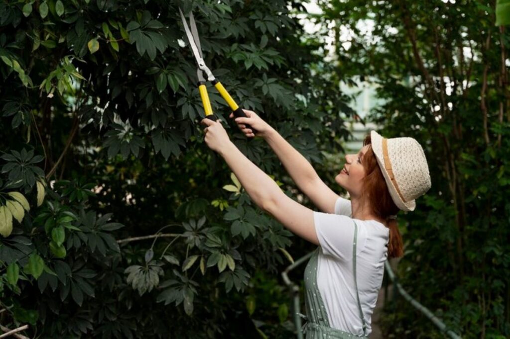 Tree pruning