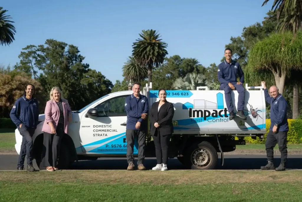 pest control Balmain