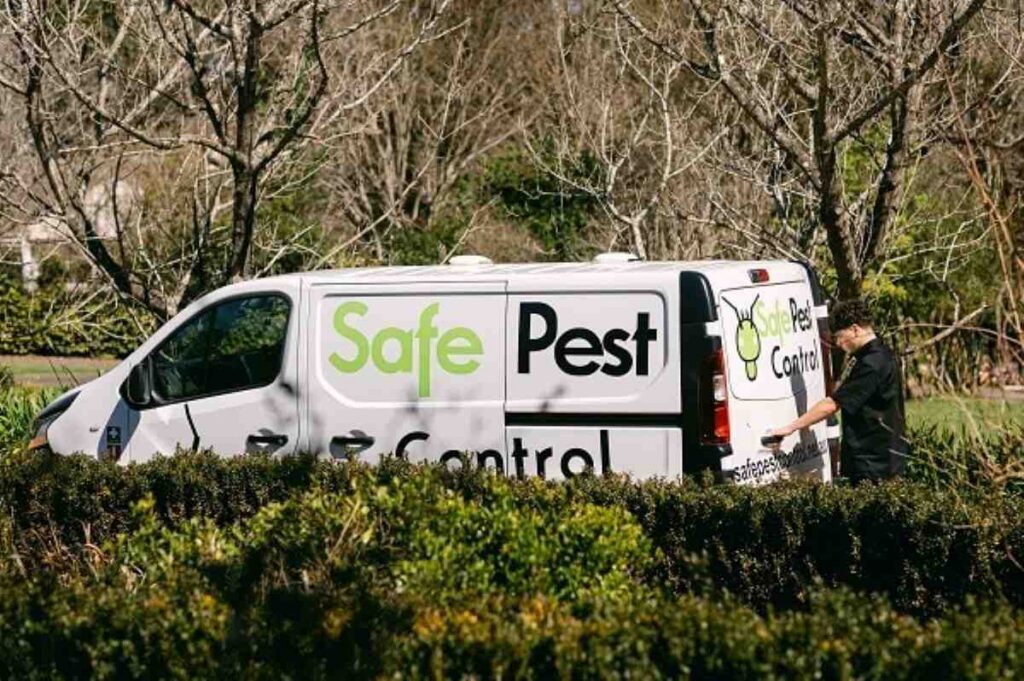 How to Find Reliable Pest Control Balmain for Your Property